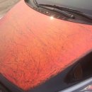 THE VALUE(더 벨류) 이미지