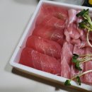 정필참치 이미지