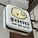 성포중학교 | 안산 고산동 우다다다고양이카페｜아이와 함께 가기 좋은 안산고양이카페 후기