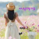 썬다방 이미지