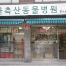 여의도동물약국 이미지