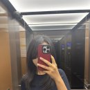 강남구청역 미용실 비오른헤어 클리닉