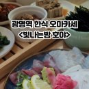 빛나는밤호야