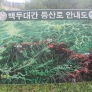 백두대간 산행기-제3차 첫째날(12.6km) 이미지