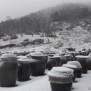 큰사랑농장 이미지