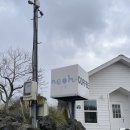 무릉경로당 | 제주도 감성 카페 서귀포 예쁜 카페 제주 서쪽 카페 '너흐neoh' 내돈내산 방문 후기 ૮꒰ ៸៸ › ˕ ‹ ៸៸ ꒱ა