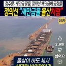 천하명가