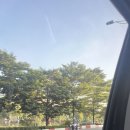 자스민호텔 | [언제나 설레는 방콕 가족여행] 노이바이-돈므앙, 스쿰빗 자스민 59호텔 내돈내산 후기