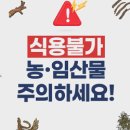 코리아넷시스템(주) 이미지