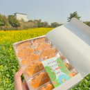 제주도 월정리 제주공항 몽그레 샌드과자 선물 추천 메뉴 및 가격, 맛 후기 (내돈내산 구매)