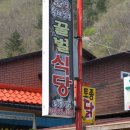 꿀벌식당 - 광주시 | 꿀벌식당