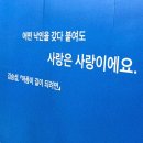 샛별비디오 | 어떤 낙인을 갖다 붙여도 사랑은 사랑