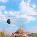 아마존월드 | 에버랜드 극성수기에 리버 트레일, 워터스텔라, 사파리 월드, 아마존 익스프레스 다 하고 온 후기 🐯🐻🐘