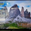 엘엔피