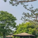 고양인공암벽장 Daum카페