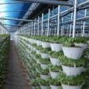 수인농장 이미지