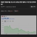 다임 이미지