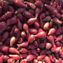 김명복농장 이미지