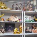 패러그린샵 동래점 이미지