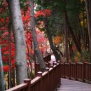 진양호 쉼터 이미지