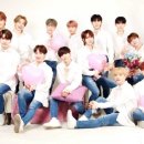 원포유 카카오 검색결과