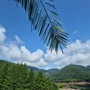 비바체 | 하동호 전망 인피니티풀이 있는 비바체 리조트 후기