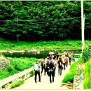 고와2교 이미지