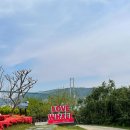 장생포초등학교 병설유치원 이미지