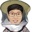 청년의 꿀 이미지