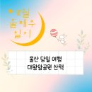 당일치기 울산여행 8월 대왕암공원 산책하며 바다보고 왔어요