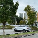 동탄센트럴파크 축구장 | 동탄 여울공원 산책 주차, 단풍구경 총 정리