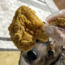 치킨더홈목포하당점 이미지