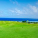 캐디닷컴 | 괌 CCP 골프 예약·할인까지 한번에! 대자연 속 골프 성지 투어 추천 🌴⛳