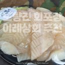 이레시스템 | 노량진 이레상회 회포장 할인 꿀팁! 광어 포장 후 한강공원에서 광어 깻잎 무침 만들어 먹은 내돈내산 후기