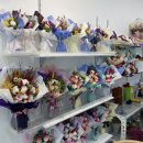 커피나무 꽃향기 이미지