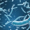 생명의 시작 이미지