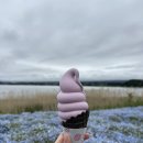 샘물하얀집 | 도쿄 3박4일 #4 | 후지산 없는 후지산 투어 절망편...랜드마크 여행 3탄🇯🇵🗻