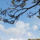 흥양주유소 이미지