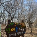 전재울근린공원 유아숲체험원 이미지