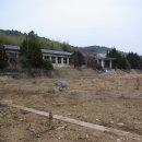 봉성초등학교 이미지