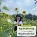 9월6,7일(1박2일)태안 가볼만한곳 베스트10 이미지