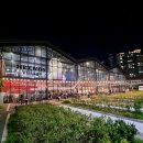 부산 광안리 가볼만한곳 놀거리 먹거리 가득 밀락더마켓
