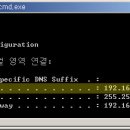 시너지(SYNERGY)