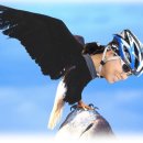 하나쌈밥 이미지