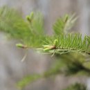 더드림주유소 이미지