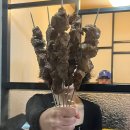 야누손 네이버블로그