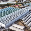 비에스팜 이미지