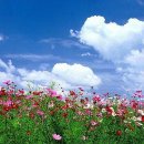 푸른하늘 이미지