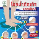 [태국 뉴스] 11월 6일 정치, 경제, 사회, 문화 이미지