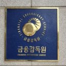 금융감독원 이미지
